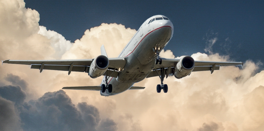 乐鱼官方体育app