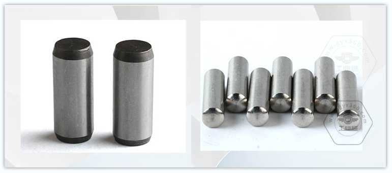 乐鱼官方体育app