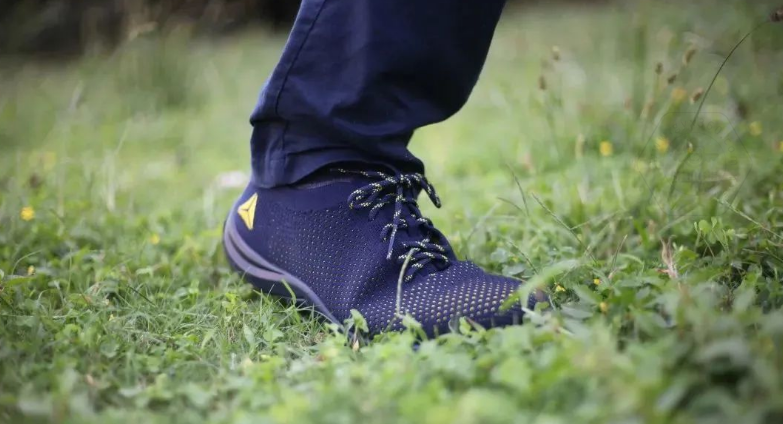 乐鱼官方体育app