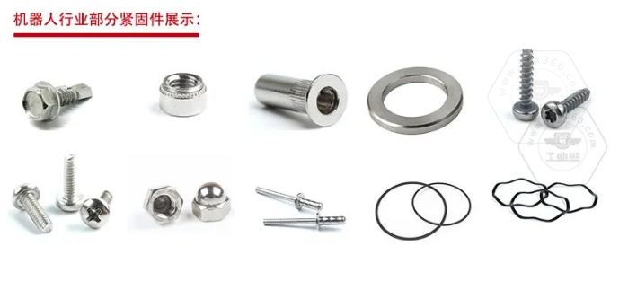 乐鱼官方体育app