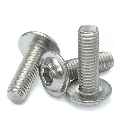 乐鱼官方体育app