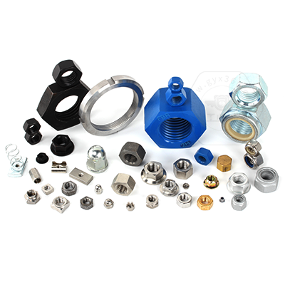 乐鱼官方体育app